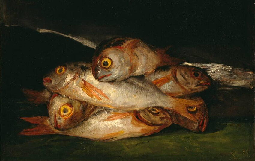 still-life-b